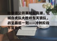 包含跆拳道公开赛掀起高潮，北城白虎队大胜岭东天狼队，战至最后一刻——冲刺阶段不容有失的词条