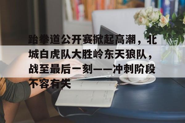 包含跆拳道公开赛掀起高潮，北城白虎队大胜岭东天狼队，战至最后一刻——冲刺阶段不容有失的词条